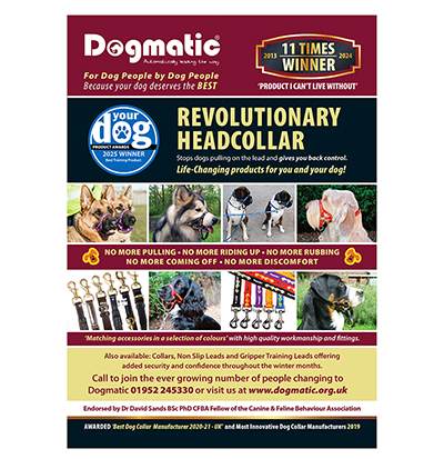 Dogmatic
