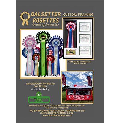 Dalsetter