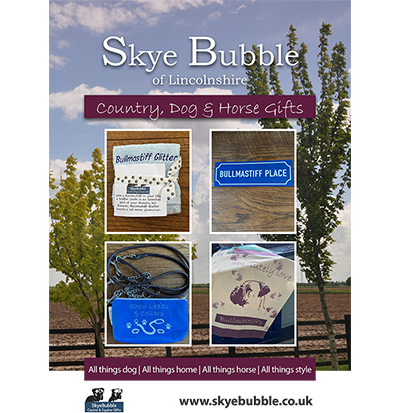 SkyeBubble