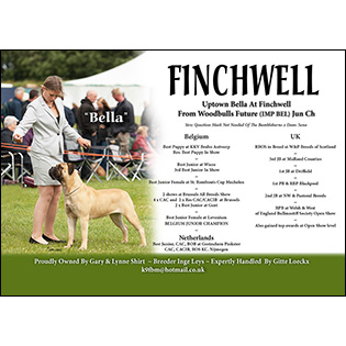 Finchwell Bullmastiffs